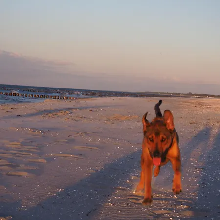 Weststrand Appartamento Prerow